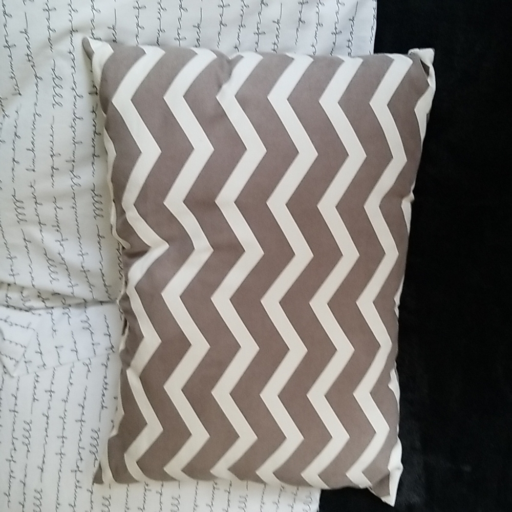 Faux Suede Zigzag Pillow.